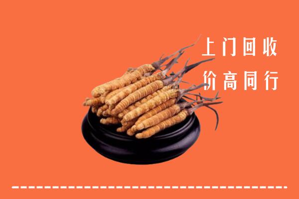 高价求购：甘孜色达县回收散虫草