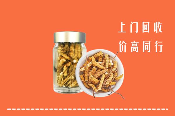 甘孜色达县回收冬虫夏草